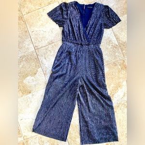 Banana Republic Metallic Jumpsuit